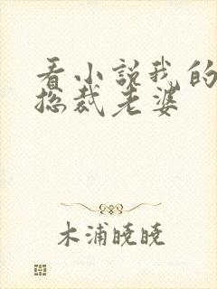 看小说我的冷艳总裁老婆封面