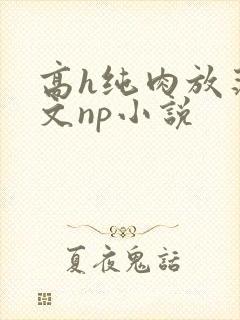 高h纯肉放荡h文np小说