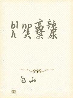 bl np高辣h 失禁尿封面