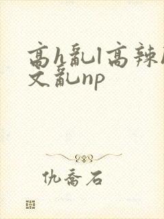 高h乱l高辣h文乱np