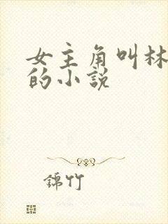 女主角叫林恩恩的小说