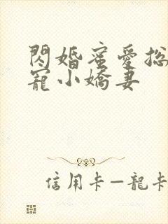 闪婚蜜爱总裁独宠小娇妻封面