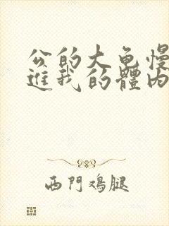 公的大龟慢慢挺进我的体内