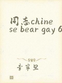 同志chinese bear gay 69