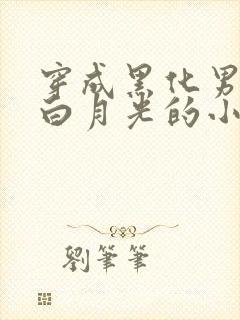 穿成黑化男主的白月光的小说封面