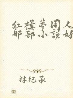 红楼梦同人小说哪部小说好看