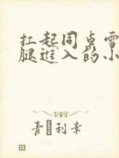 扛起同桌雪白双腿进入的小说