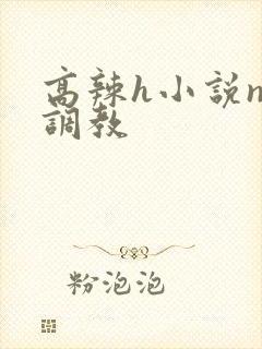 高辣h小说np调教封面