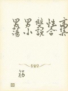 男男双性高h浪荡小说合集封面