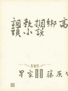 调教捆绑高潮乳头小说