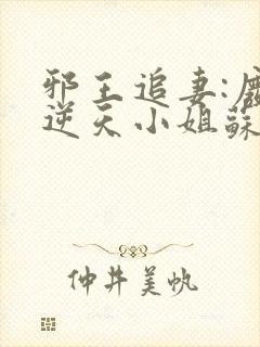 邪王追妻:废材逆天小姐苏落南宫流云