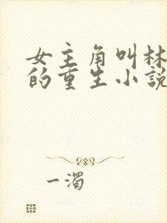 女主角叫林清婉的重生小说