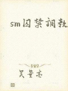 sm囚禁调教文封面