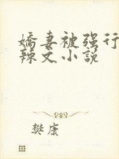 娇妻被强行侵犯辣文小说