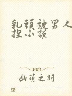 乳头被男人使劲捏小说封面