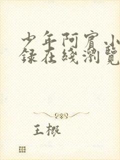 少年阿宾小说目录在线浏览