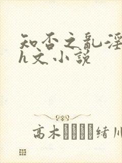 知否之乱淫后宫h文小说封面