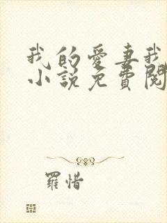 我的爱妻我的父小说免费阅读封面