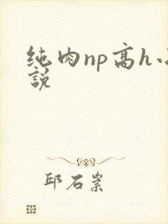 纯肉np高h小说