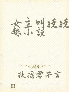 女主叫晓晓的穿越小说