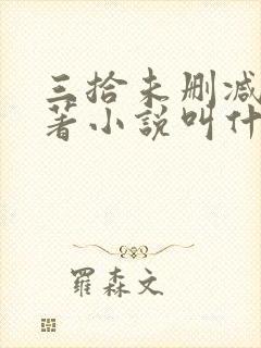 三拾未删减版原著小说叫什么