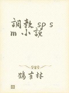 调教 sp sm 小说