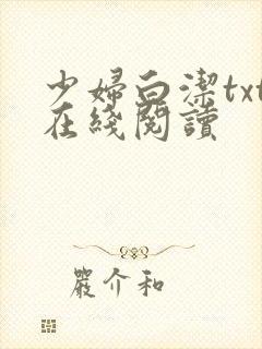 少妇白洁txt在线阅读
