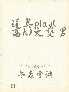 道具play(高h)文双男主封面