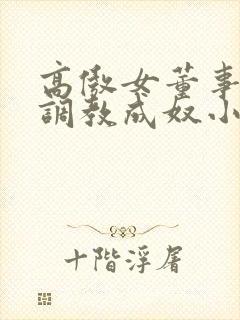 高傲女董事长被调教成奴小说封面