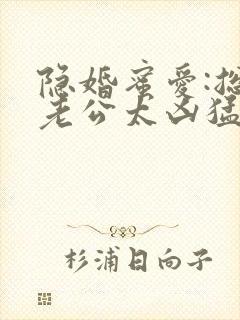 隐婚蜜爱:总裁老公太凶猛