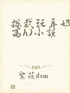 总裁玩弄奶头(高h)小说