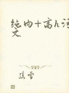 纯肉+高h污黄文