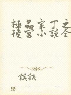 极品家丁之风流后宫小说全文阅读