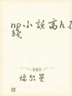 np小说高h在线
