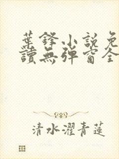 叶锋小说免费阅读无弹窗全文