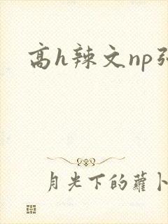高h辣文np强