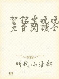 贺铭云晚晚小说免费阅读全文最新章节