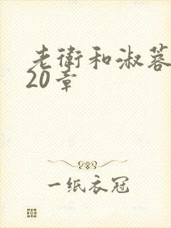 老卫和淑蓉1—20章