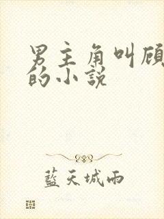 男主角叫顾长生的小说