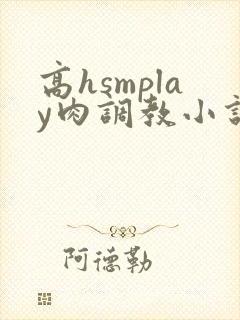 高hsmplay肉调教小说