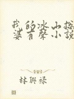 我的冰山总裁老婆有声小说