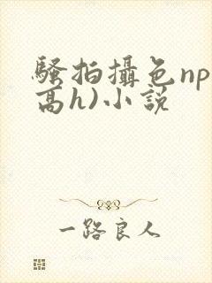 骚拍摄色np(高h)小说封面