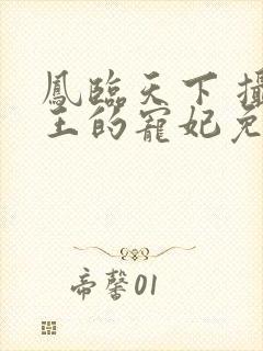 凤临天下 摄政王的宠妃免费阅读