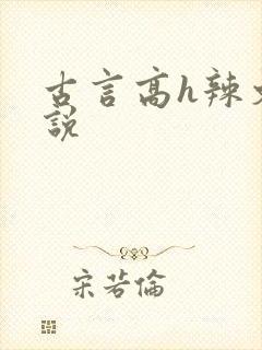 古言高h辣文小说