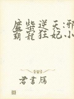 废柴逆天:邪王霸宠狂妃小说