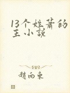 13个姓萧的男主小说