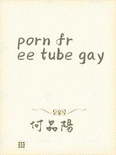 porn free tube gay