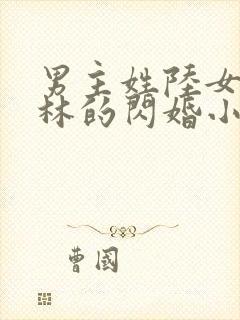 男主姓陆女主姓林的闪婚小说