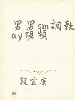 男男sm调教gay视频