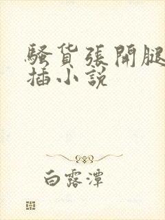 骚货张开腿让我插小说